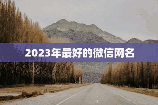 2023年最好的微信网名(2023年最好的微信网名是什么)